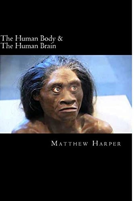 The Human Body & The Human Brain: A Fascinating Book Containing Human Body & Brain Facts, Trivia, Images & Memory Recall Quiz: Suitable For Adults & C-..