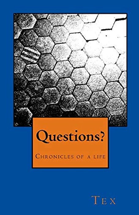 Questions: Chronicles Of A Life-..