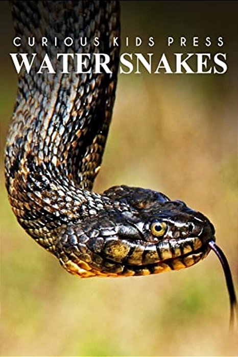 Water Snake - Curious Kids Press: Kids Book About Animals And Wildlife, Children's Books 4-6-..