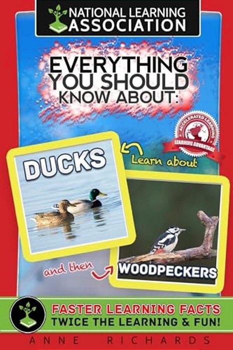 Everything You Should Know About: Ducks And Woodpeckers-..