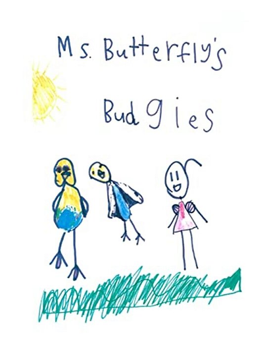 Ms Butterfly's Budgies: A True Story About Ms Butterfly's Pet Budgerigars-..