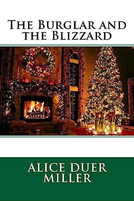 The Burglar And The Blizzard-..