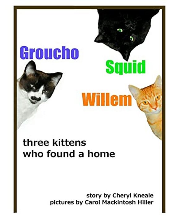Groucho * Squid * Willem: Three Kittens Who Found A Home-..