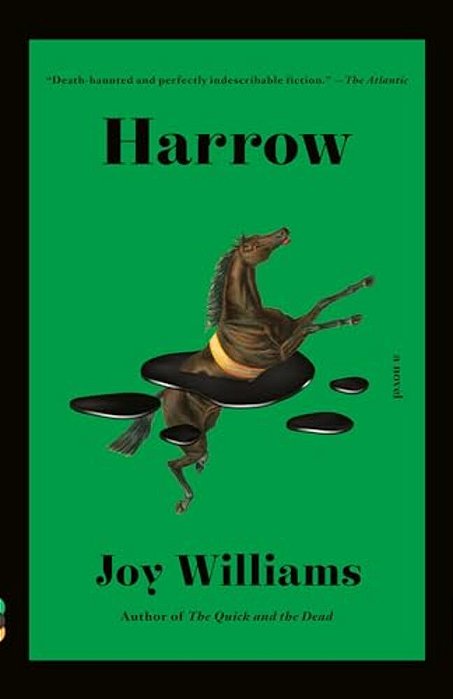 Harrow: A Novel (Kirkus Prize)-..