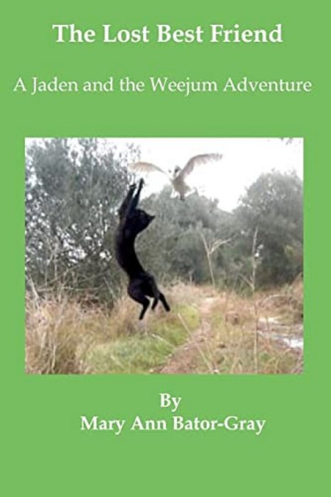 The Lost Best Friend: A Jaden And The Weejum Adventure-..