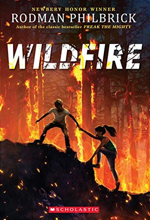 Wildfire (The Wild Series)-..