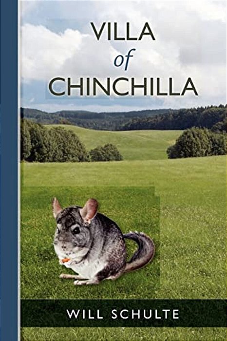 Villa Of Chinchilla-..