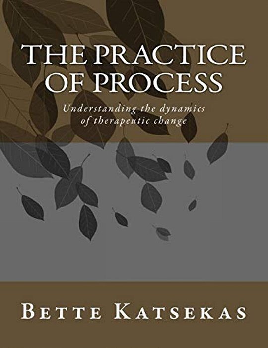 The Practice Of Process: Understanding The Dynamics Of Therapeutic Change-..