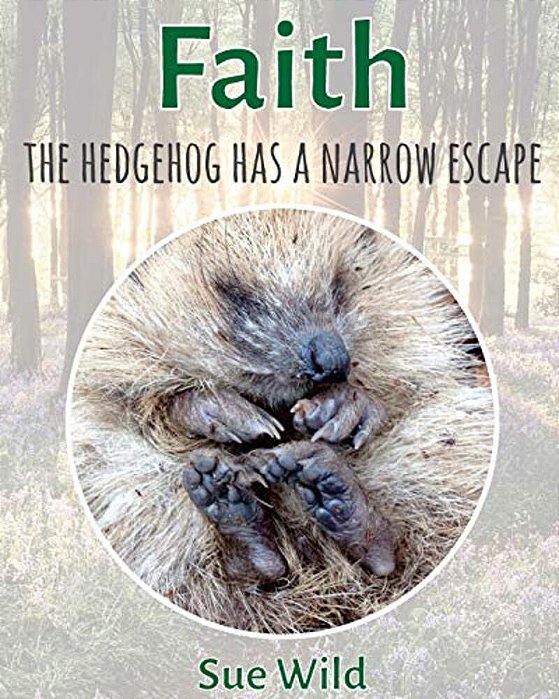 Faith: The Hedgehog Has A Narrow Escape-..