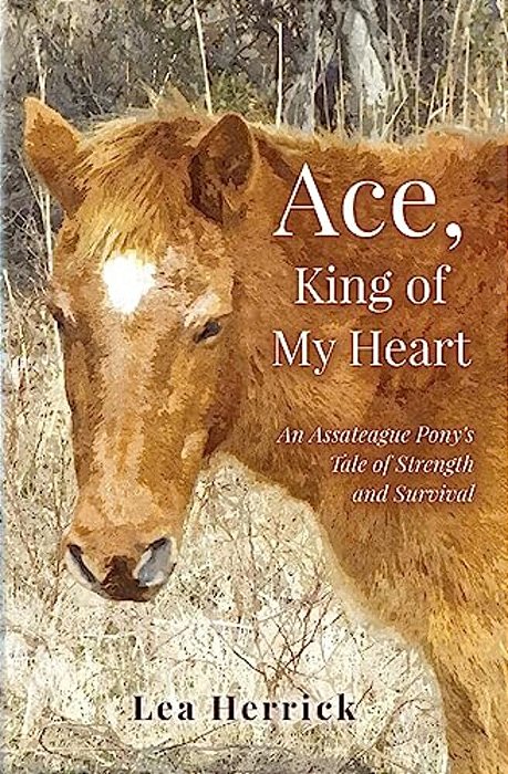 Ace, King Of My Heart: An Assateague Pony's Tale Of Strength And Survival-..