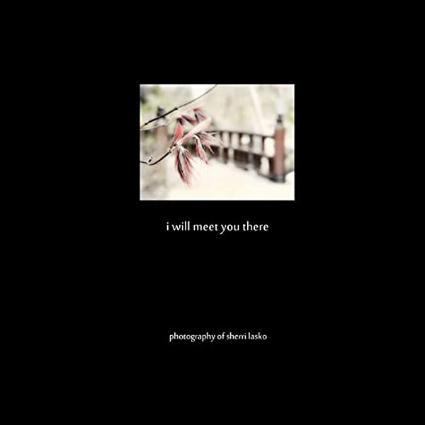 I Will Meet You There: Photography Of Sherri Lasko-..