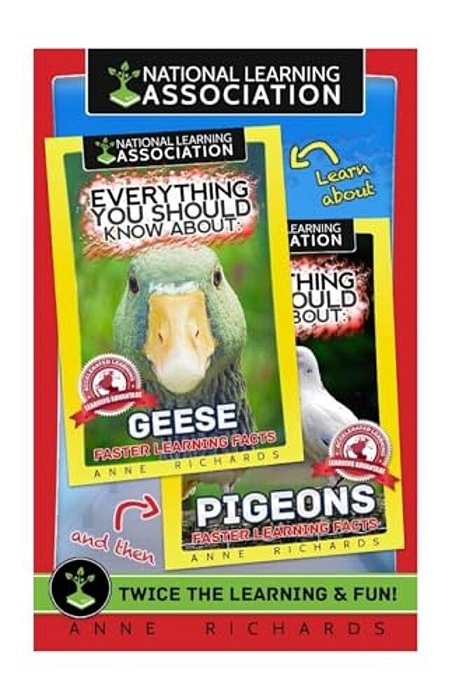 Everything You Should Know About: Geese And Pigeons-..