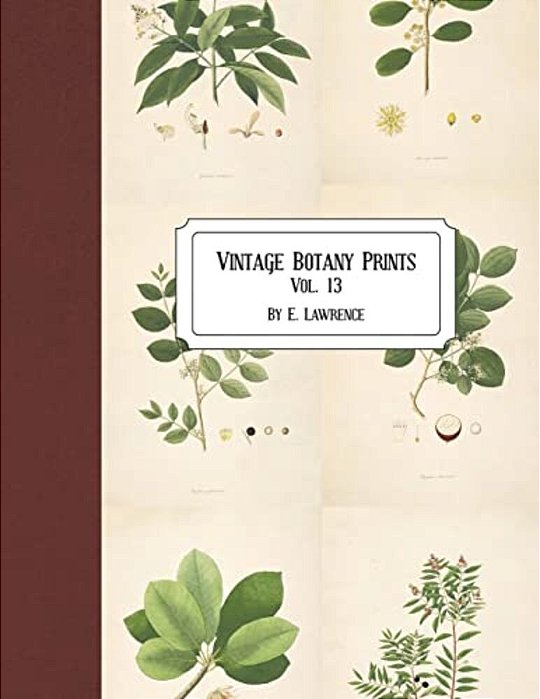 Vintage Botany Prints: Vol. 13-..