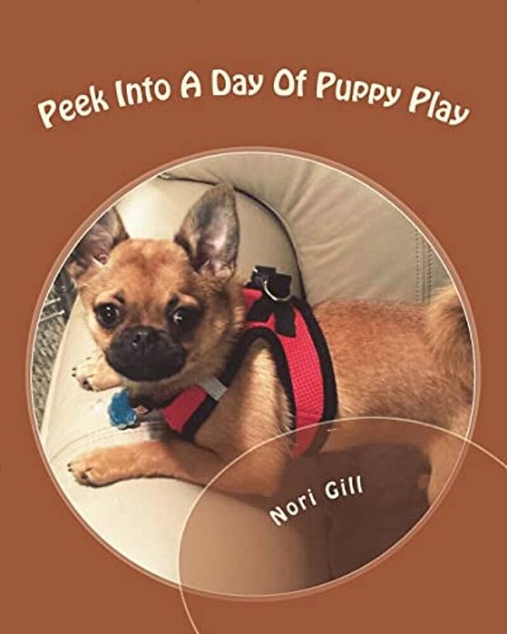 Peek Into A Day Of Puppy Play-..