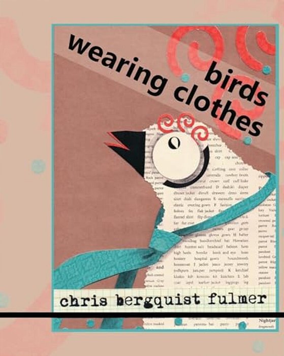 Birds Wearing Clothes: Picture Book Full Of Humorous Silly Birds-..