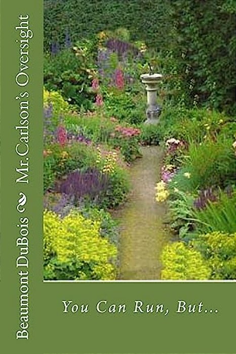 Mr. Carlson's Oversight: You Can Run, But... -..