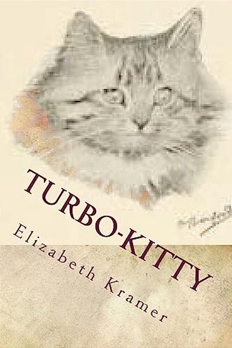 Turbo-Kitty: Story 3 (B&w Edition)-..