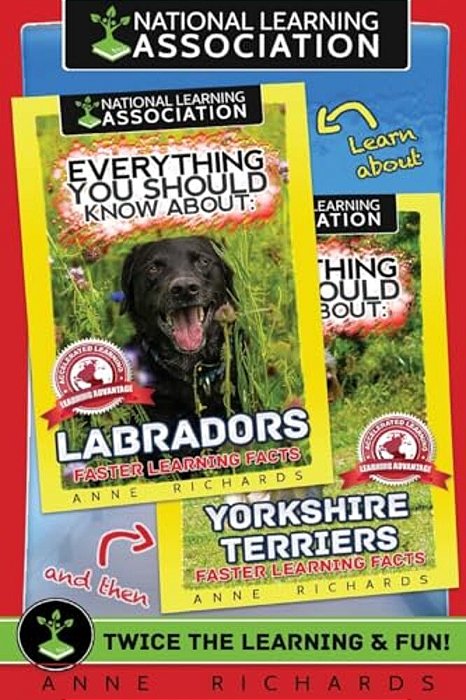 Everything You Should Know About: Hummingbirds And Parrots-..