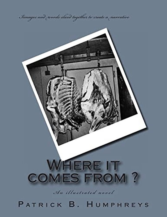 Where It Comes From?: An Illustrated Novel-..
