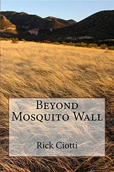 Beyond Mosquito Wall-..