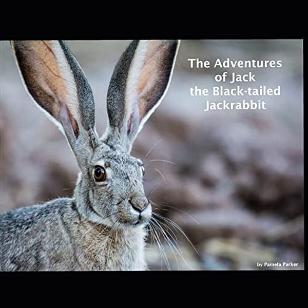 The Adventures Of Jack The Black-Tailed Jackrabbit-..