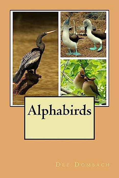 Alphabirds-..