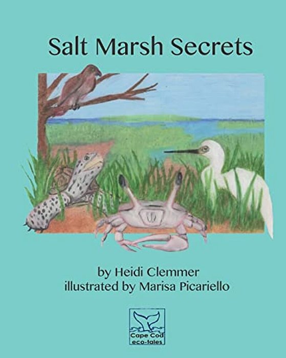Salt Marsh Secrets-..