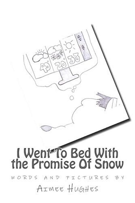 I Went To Bed With The Promise Of Snow-..