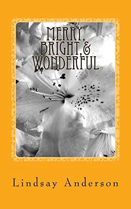 Merry, Bright,& Wonderful: A Beverly Black Novel-..