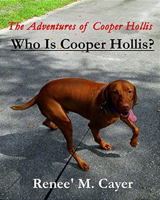The Adventures Of Cooper Hollis: Who Is Cooper Hollis?-..
