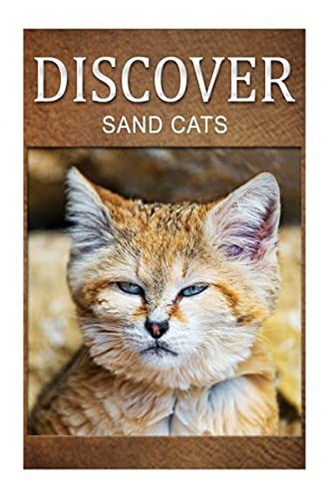 Sand Cats - Discover: Early Reader's Wildlife Photography Book-..
