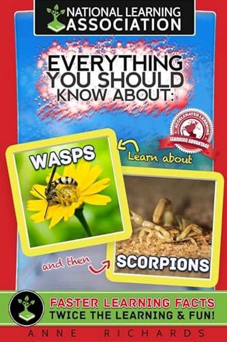Everything You Should Know About Wasps And Scorpions-..