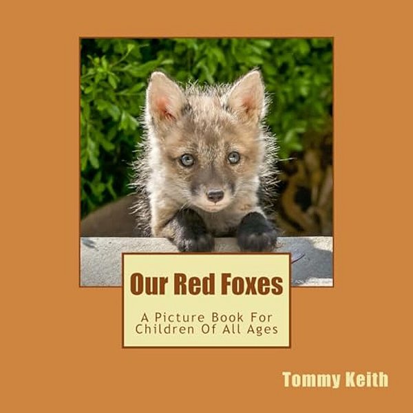 Our Red Foxes: A Picture Book For Children Of All Ages-..