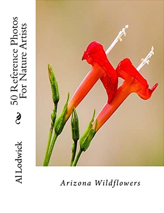 Arizona Wildflowers: 50 Reference Photos For Nature Artists-..