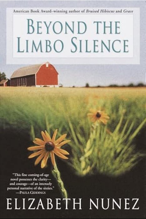 Beyond The Limbo Silence-..