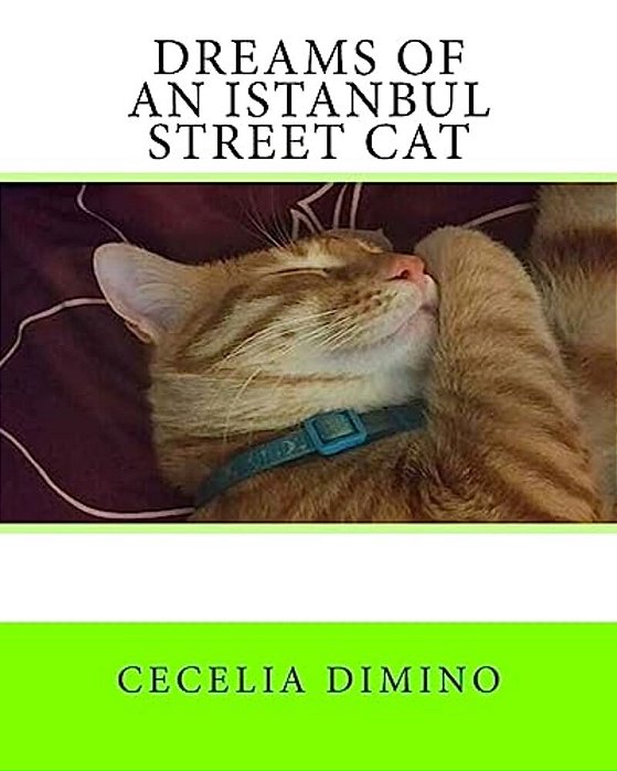 Dreams Of An Istanbul Street Cat-..