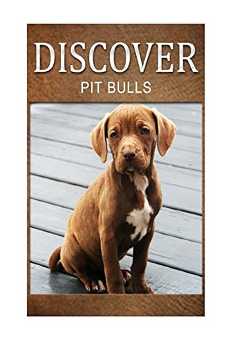 Pit Bull - Discover: Early Reader's Wildlife Photography Book-..
