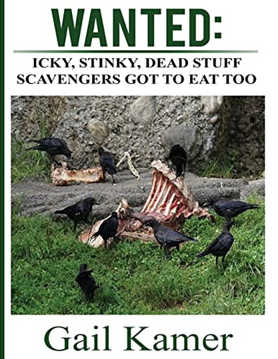 Wanted: Icky, Stinky, Dead Stuff Scavengers Got To Eat, Too-..