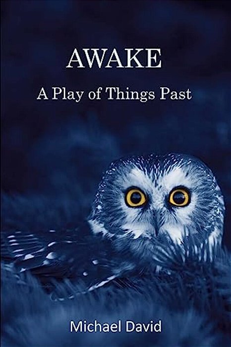 Awake: A Play-..
