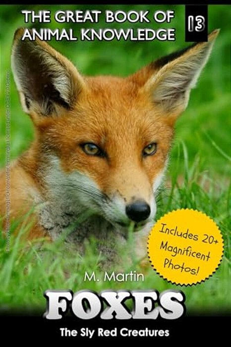 Foxes: The Sly Red Creatures-..