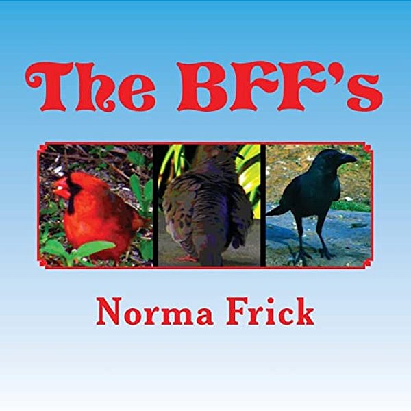 The Bff'S: Imagine That Books-..