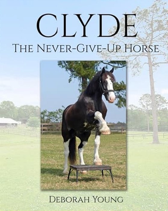 Clyde: The-Never-give-up-horse-..
