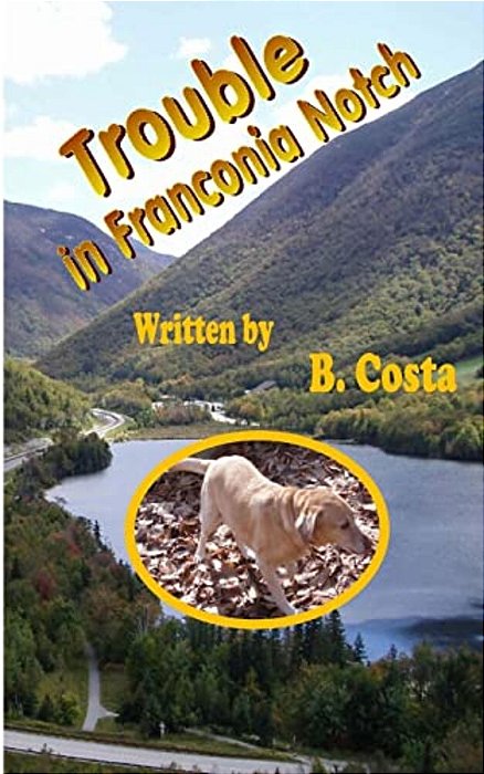 Trouble In Franconia Notch-..