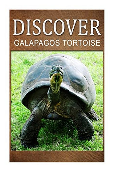 Galapagos Tortoise - Discover: Early Reader's Wildlife Photography Book-..