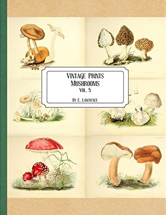 Vintage Prints: Mushrooms: Vol. 5-..