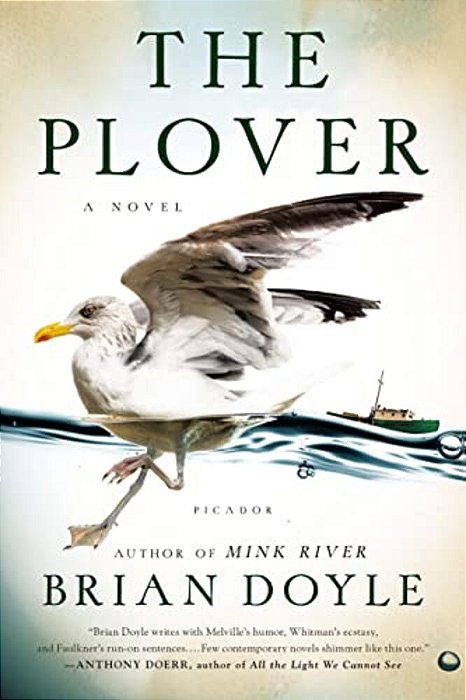 The Plover-..