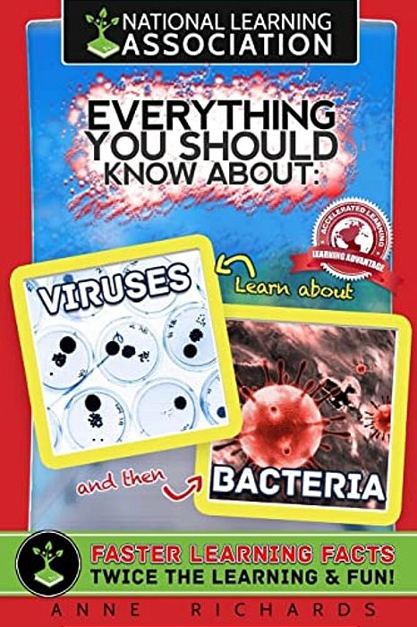 Everything You Should Know About Viruses And Bacteria-..