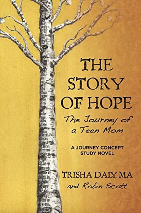 The Story Of Hope: The Journey Of A Teen Mom: A Journey Concept Study Novel-..