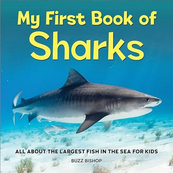 My First Book Of Sharks: All About The Largest Fish In The Sea For Kids-..