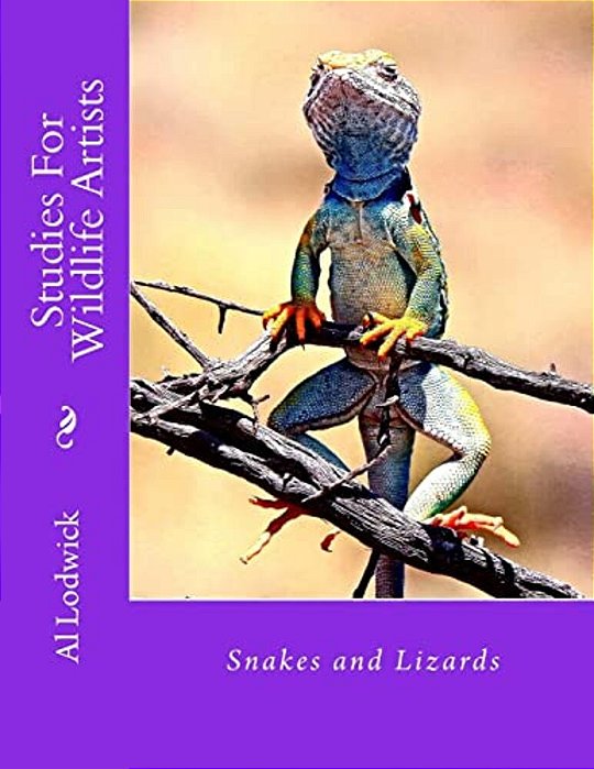 Snakes And Lizards: Studies For Wildlife Artista-..
